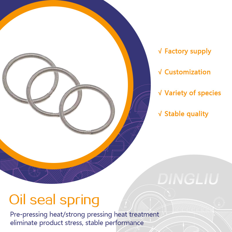   Customized multi-size oil seal spring seal spring O-ring spring stainless steel seal spring
